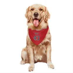 Minnesota Twins Addison Reed Red Pet Bandana for Dog & Cat