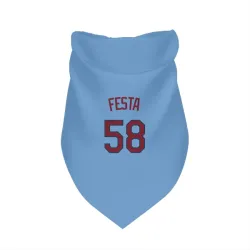 Minnesota Twins David Festa Light Blue Pet Bandana for Dog & Cat