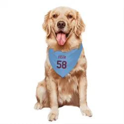 Minnesota Twins David Festa Light Blue Pet Bandana for Dog & Cat