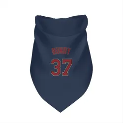 Minnesota Twins Dylan Bundy Navy Pet Bandana for Dog & Cat