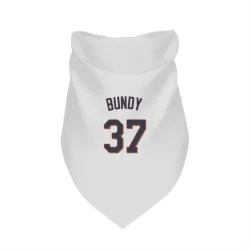Minnesota Twins Dylan Bundy White Pet Bandana for Dog & Cat