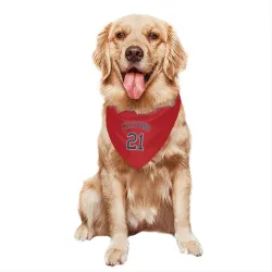 Minnesota Twins Gilberto Celestino Red Pet Bandana for Dog & Cat