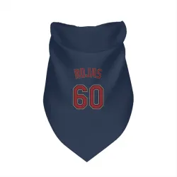 Minnesota Twins Kendry Rojas Navy Pet Bandana for Dog & Cat