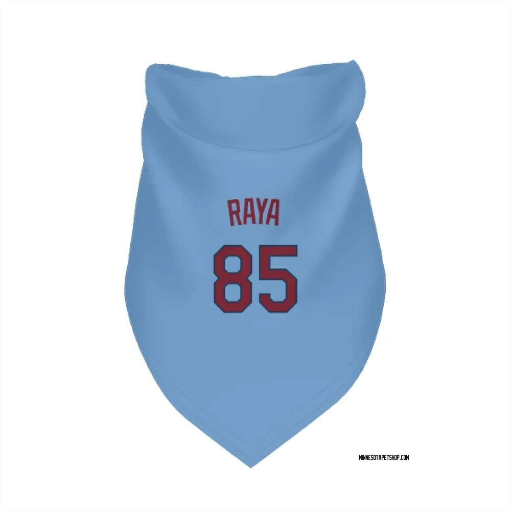 Minnesota Twins Marco Raya Light Blue Pet Bandana for Dog & Cat