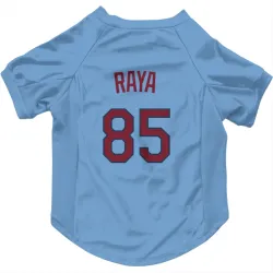 Minnesota Twins Marco Raya Light Blue Pet Jersey for Dog & Cat