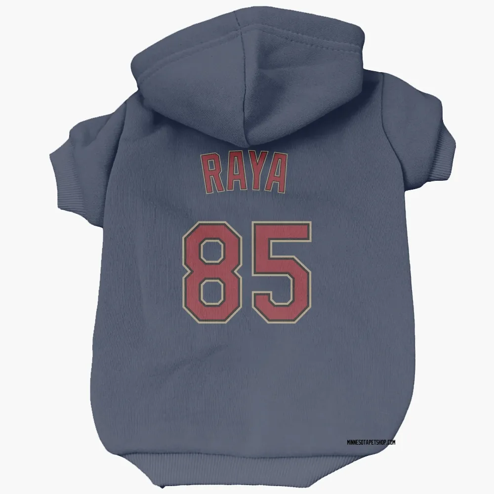 Minnesota Twins Marco Raya Navy Pet Hoodie for Dog & Cat