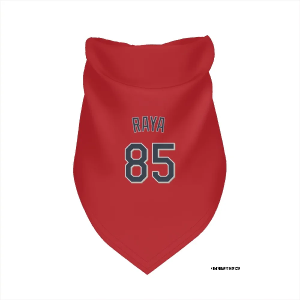 Minnesota Twins Marco Raya Red Pet Bandana for Dog & Cat