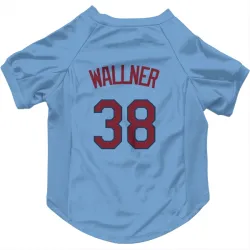 Minnesota Twins Matt Wallner Light Blue Pet Jersey for Dog & Cat