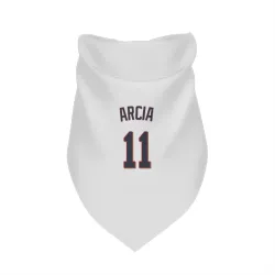 Minnesota Twins Orlando Arcia White Pet Bandana for Dog & Cat