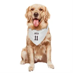Minnesota Twins Orlando Arcia White Pet Bandana for Dog & Cat