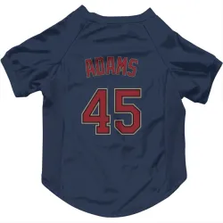 Minnesota Twins Travis Adams Navy Pet Jersey for Dog & Cat
