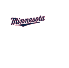Minnesota Store